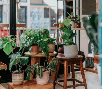 ceyda-ciftci-dDVU6D_6T80-unsplash